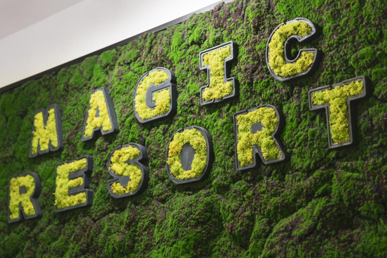萨格勒布Magic King'S House公寓 外观 照片
